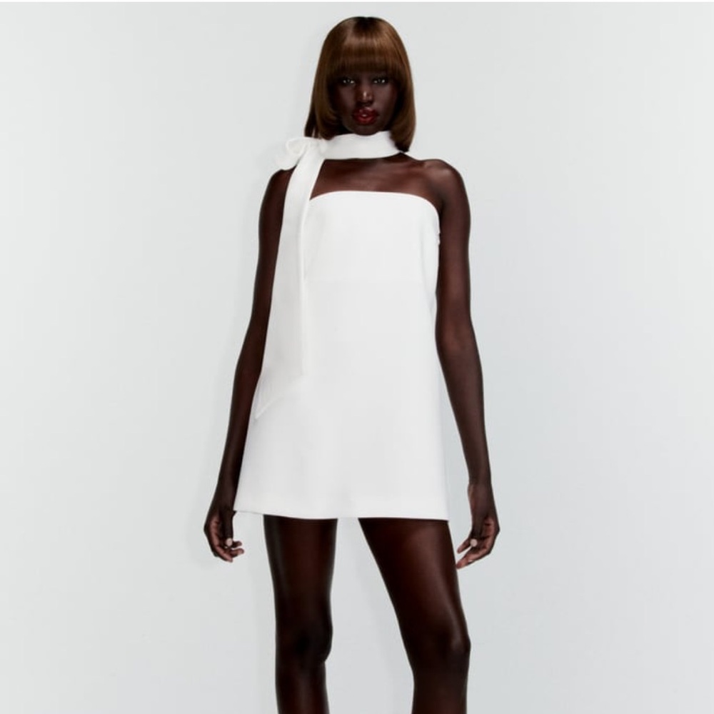 Zara Choker Mini Dress